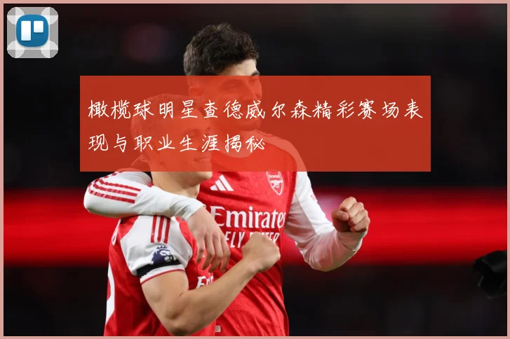 橄榄球明星查德威尔森精彩赛场表现与职业生涯揭秘