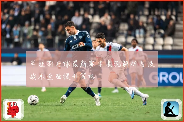 辛杜羽毛球最新赛季表现解析与技战术全面提升策略